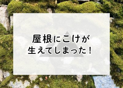 屋根にこけが生えてしまった！自力で対処したいときの方法 | 屋根のあれこれ