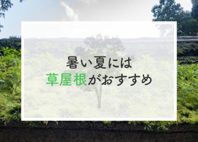 暑い夏には草屋根がおすすめ！屋根を緑化する工法に使える補助金についてもご紹介 | 屋根のあれこれ