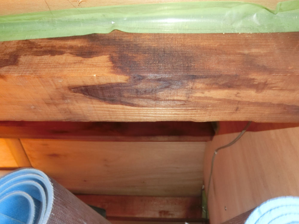 小屋裏の雨染み