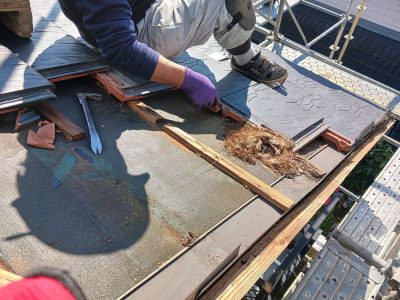 岐阜市K様邸の屋根修理施工風景。瓦職人が劣化していた既存の瓦を剥がしたところ、露出した屋根下地（ルーフィング）の上に、長年放置されていたと思われる鳥の巣の塊が発見された。巣の近くにある木材（桟木）は湿気で腐食しており、瓦下の過酷な環境が伺える。