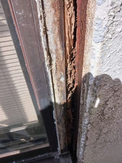 岐阜市H様邸の外壁・サッシ廻り雨漏り補修（施工中）。モルタル外壁を解体し、雨水が侵入してボロボロに腐食した古い窓サッシの木下地枠を露出させた様子