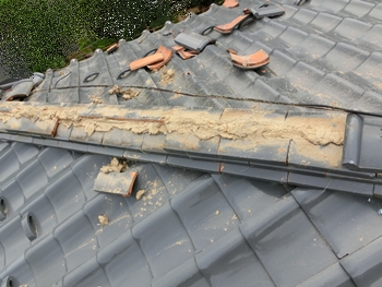 【施工事例】和瓦屋根の地震・台風対策に7寸丸一本伏せの棟 | 施工事例