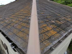 苔が発生して茶色くなった屋根の写真